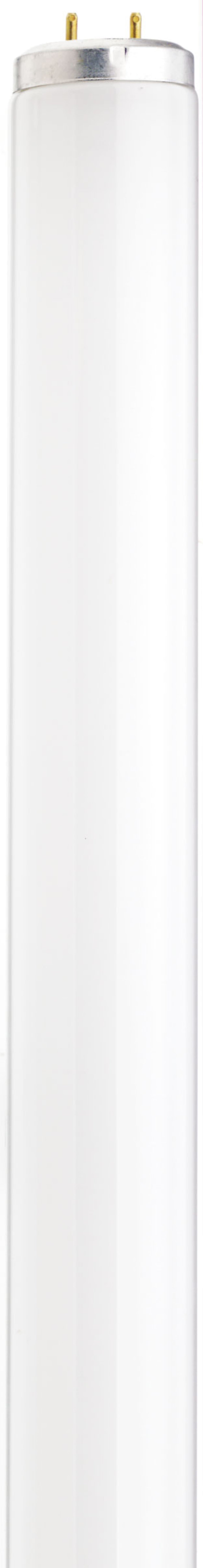 Satco S6580 30 Watt T12 Shatter Proof Fluorescent 4200K Cool White 62 CRI Medium Bi Pin base