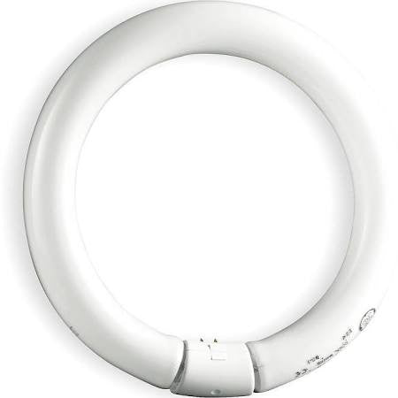 GE 22 Watt 8" 4100K T9 Circline G10q 4-Pin - FC8T9/CW