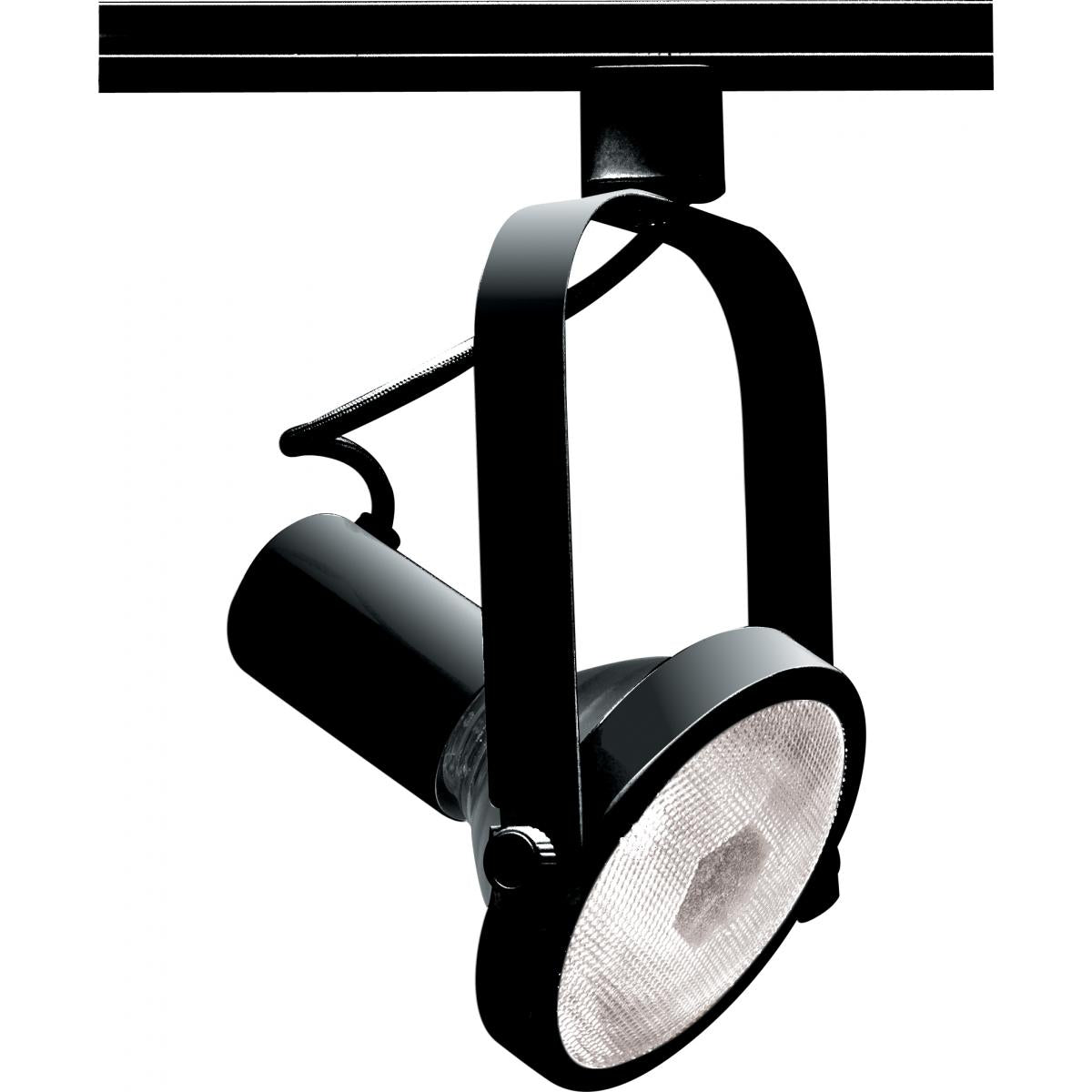 Satco TH223 1 Light - PAR30 - Track Head - Gimbal Ring - Black Finish