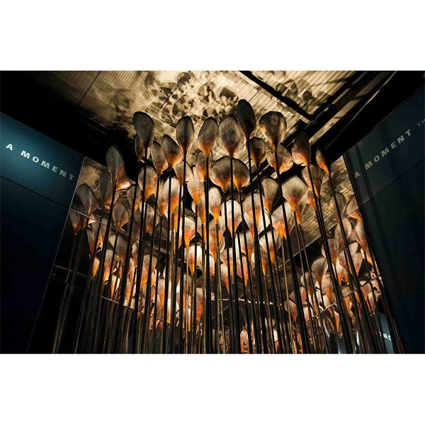 Chandelier lighting using Soraa SNAP 2 inch 1/4 CTO color filter