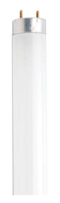 Satco S26516 18 Watt T8 30 Inch Cool White Fluorescent - CASE PACK 30