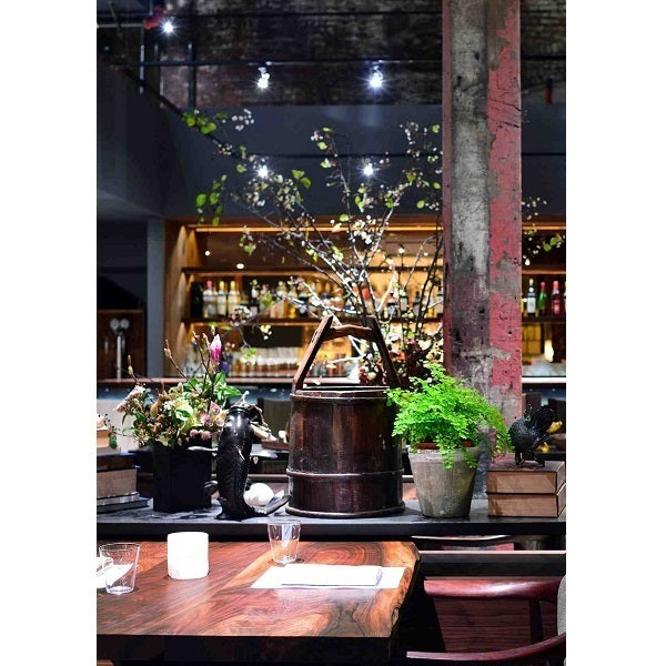 Restaurant bar lighting using Soraa BRILLIANT PAR30 Long Neck 36 degree 3000K LED lamps