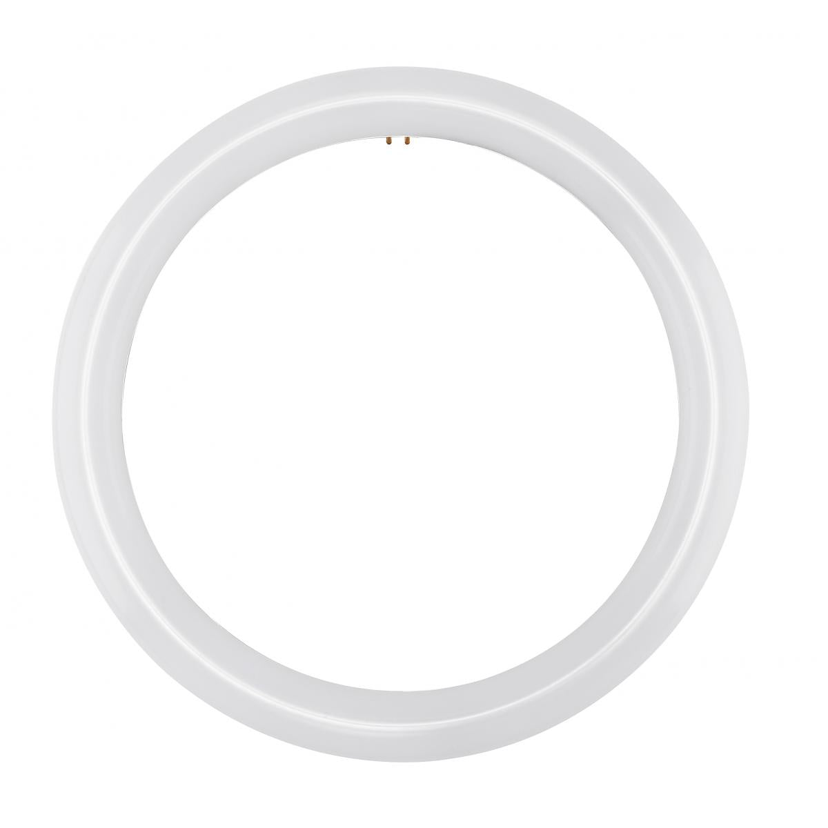 Replacement for  Satco S16505 LED Circline 16 Watt T9 6500K G10Q Base 120-277 Volt Type B Ballast Bypass - NOW S16511