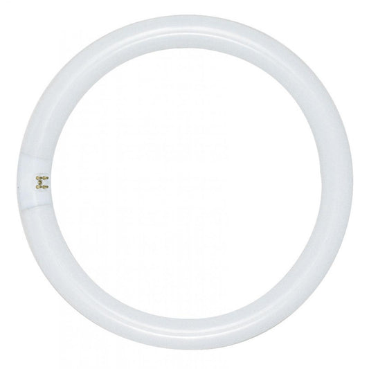 Satco S6506 FC16T9/CW 40 Watt T9 Circline Fluorescent 4100K Cool White 62 CRI 4-Pin base - CASE PACK 12 ONLY